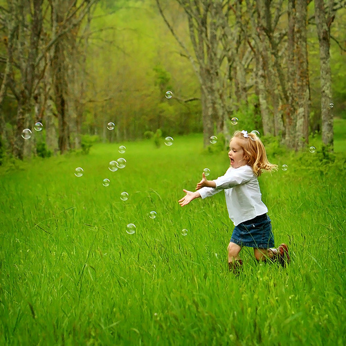 the-pursuit-of-happiness